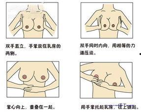乳房的按摩手法视频,跟随视频轻松掌握专业手法