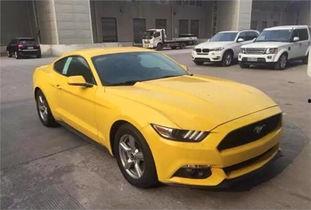 野马配野驴视频,一场草原上的自然奇观