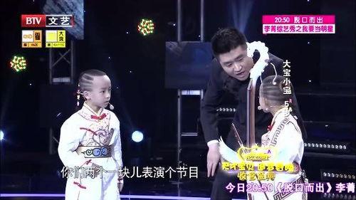 歌在飞改编母雁视频,感人至深的迁徙传奇