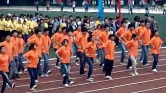 小学生兔子舞体操视频,活力四溢！小学生兔子舞体操风采展示